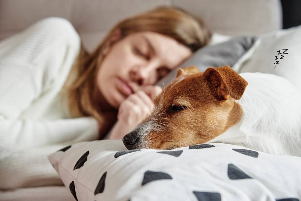 SleepDrill - Lepší angličtina díky poslechu před spaním – funguje i pro španělštinu, italštinu a němčinu. SleepDrill - angličtina, španělština, italština pro začníky a mírně pokročilé